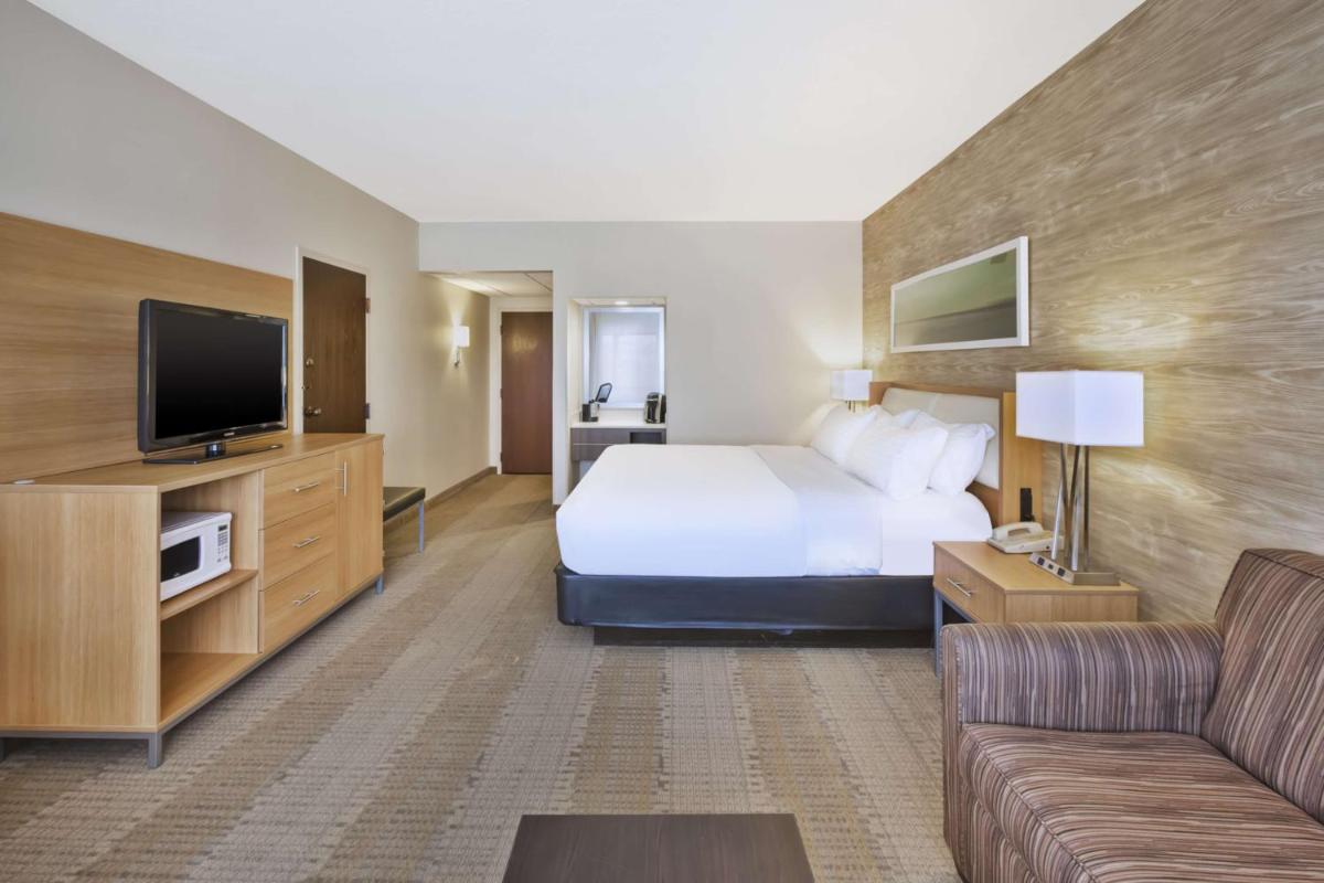 Holiday Inn Rapid City - Rushmore Plaza an IHG Hotel - image 5