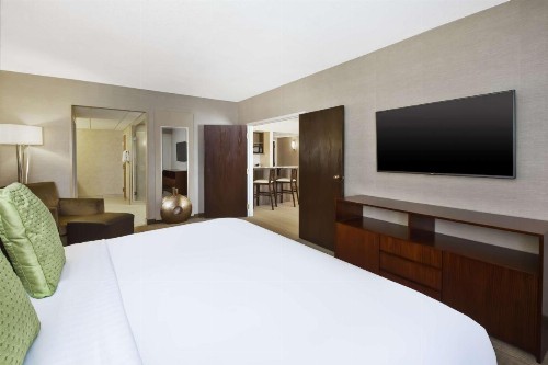 Holiday Inn Rapid City - Rushmore Plaza an IHG Hotel - image 6