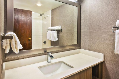 Holiday Inn Rapid City - Rushmore Plaza an IHG Hotel - image 8