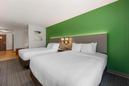 Comfort Suites Conference Center Rapid City - image 11