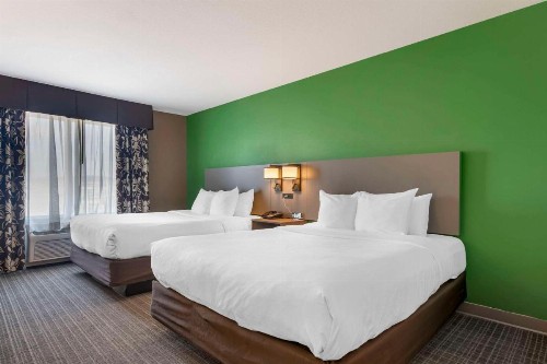 Comfort Suites Conference Center Rapid City - image 22