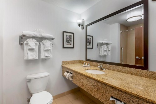 Comfort Suites Conference Center Rapid City - image 33