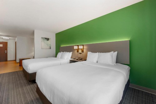 Comfort Suites Conference Center Rapid City - image 37
