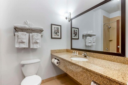 Comfort Suites Conference Center Rapid City - image 8