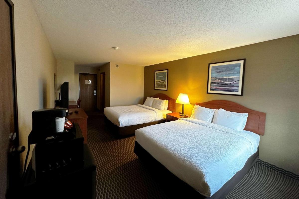 Quality Inn & Suites Rapid City - image 4