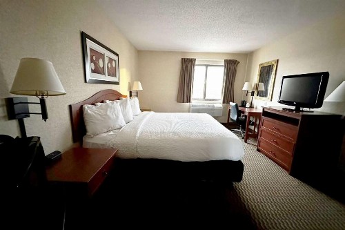 Quality Inn & Suites Rapid City - image 5