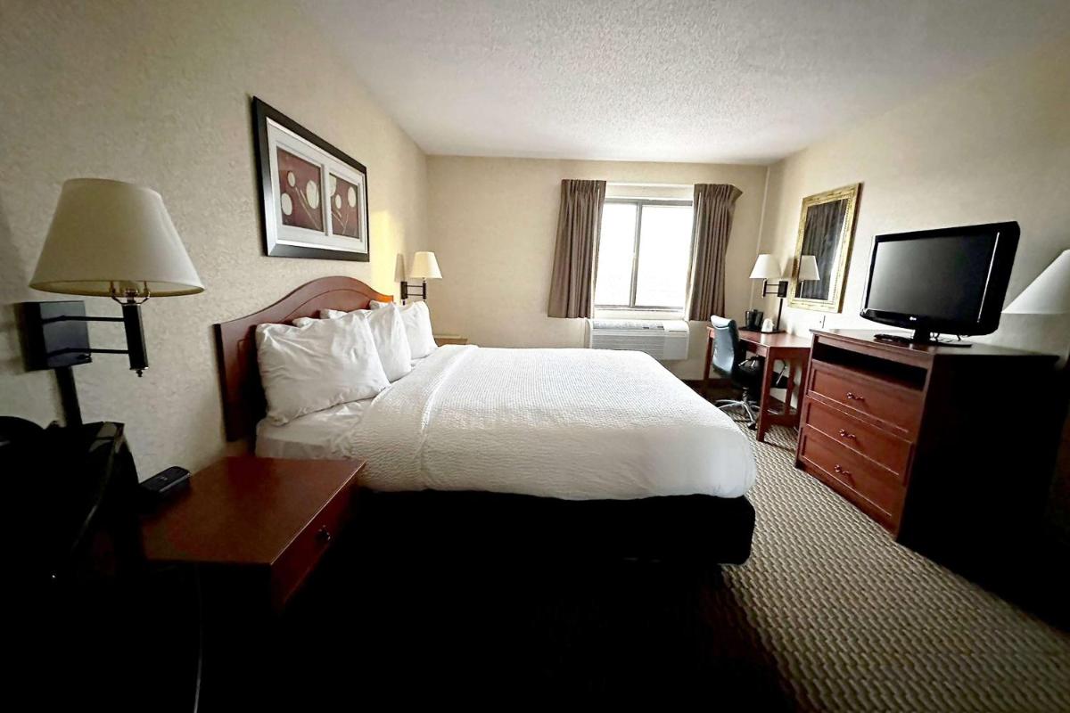 Quality Inn & Suites Rapid City - image 5