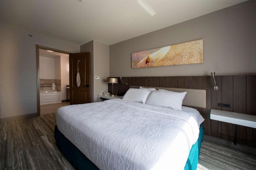 Hilton Garden Inn Rapid City - image 13
