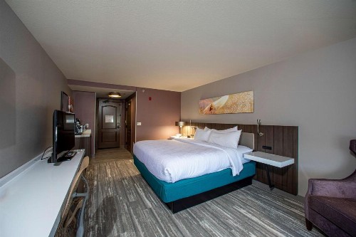 Hilton Garden Inn Rapid City - image 47