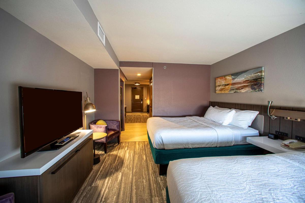 Hilton Garden Inn Rapid City - image 6
