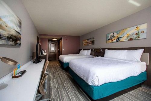 Hilton Garden Inn Rapid City - image 7