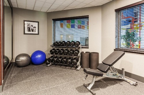 Holiday Inn Express & Suites Rapid City an IHG Hotel - image 19