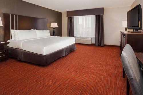 Holiday Inn Express & Suites Rapid City an IHG Hotel - image 8