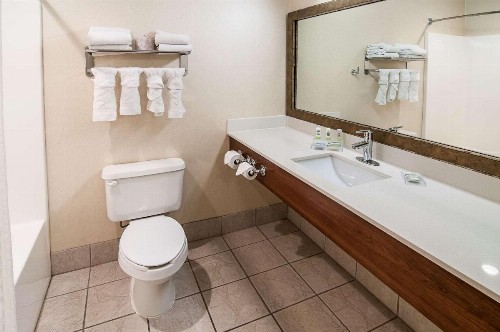 Country Inn & Suites by Radisson Rapid City SD - image 9
