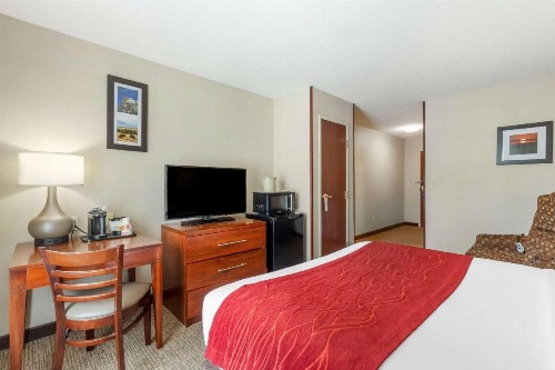 Comfort Inn & Suites Rapid City - image 10