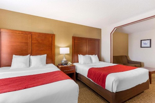 Comfort Inn & Suites Rapid City - image 13