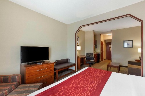 Comfort Inn & Suites Rapid City - image 23