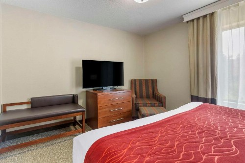 Comfort Inn & Suites Rapid City - image 24