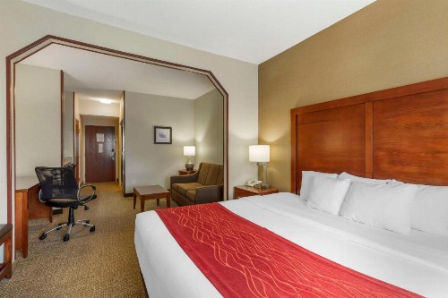 Comfort Inn & Suites Rapid City - image 31