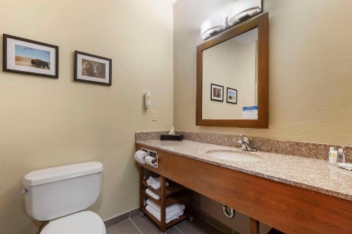 Comfort Inn & Suites Rapid City - image 32