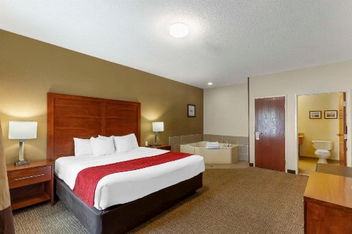 Comfort Inn & Suites Rapid City - image 4