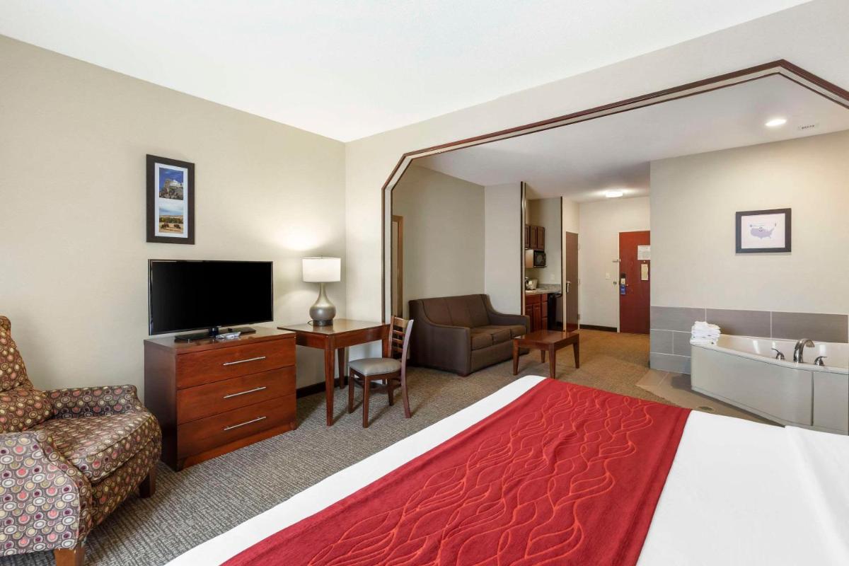 Comfort Inn & Suites Rapid City - image 7