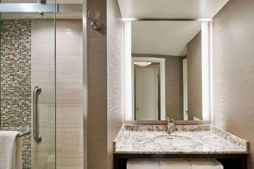 Hotel Alex Johnson Rapid City Curio Collection by Hilton - image 50