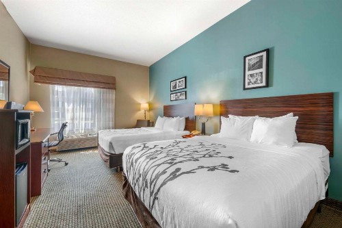 Sleep Inn & Suites Rapid City - image 12