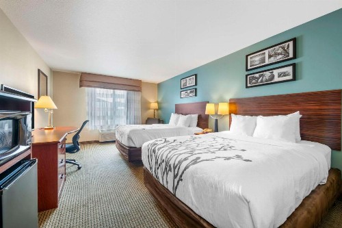 Sleep Inn & Suites Rapid City - image 15