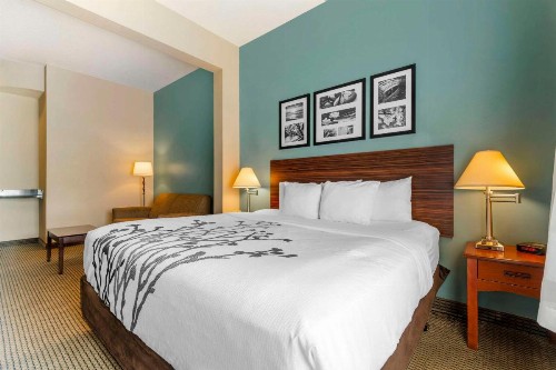 Sleep Inn & Suites Rapid City - image 20