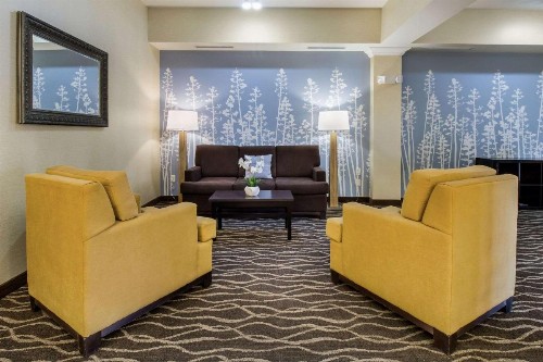 Sleep Inn & Suites Rapid City - image 32