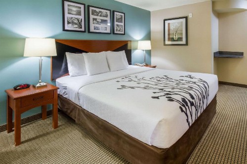 Sleep Inn & Suites Rapid City - image 33