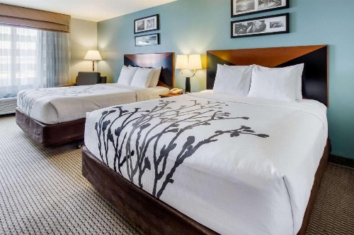 Sleep Inn & Suites Rapid City - image 36