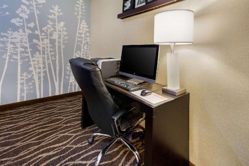 Sleep Inn & Suites Rapid City - image 39