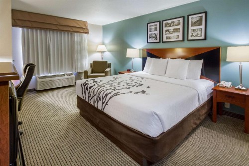 Sleep Inn & Suites Rapid City - image 43