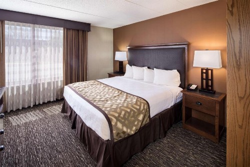 Best Western Ramkota Hotel - image 14