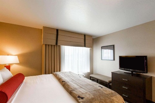 Cambria Hotel Rapid City near Mount Rushmore - image 12