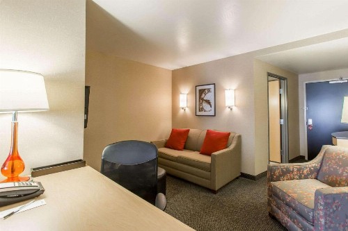 Cambria Hotel Rapid City near Mount Rushmore - image 17