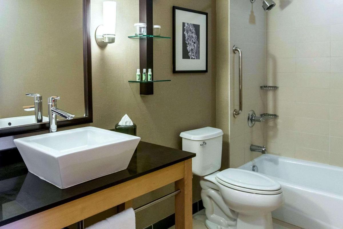 Cambria Hotel Rapid City near Mount Rushmore - image 3