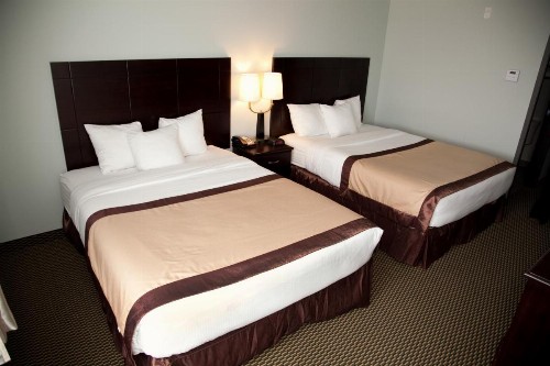 Baymont by Wyndham Rapid City - image 23