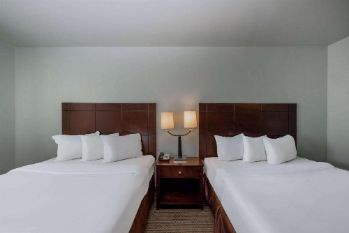 Baymont by Wyndham Rapid City - image 26