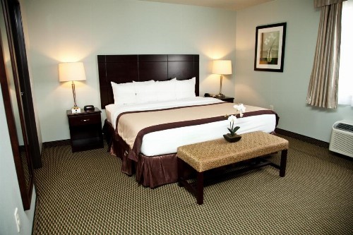 Baymont by Wyndham Rapid City - image 35