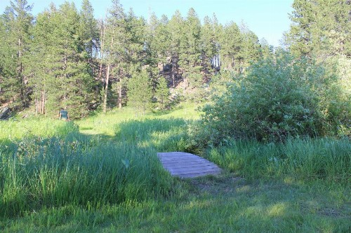 Black Elk Resort - image 5