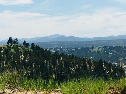 Priceless Black Hills View - image 11