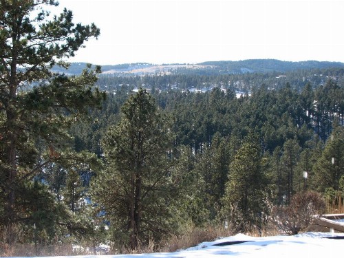 Priceless Black Hills View - image 18