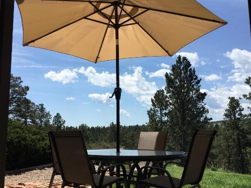 Priceless Black Hills View - image 21