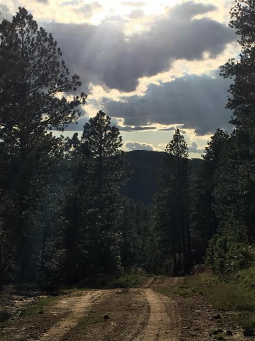 Priceless Black Hills View - image 22