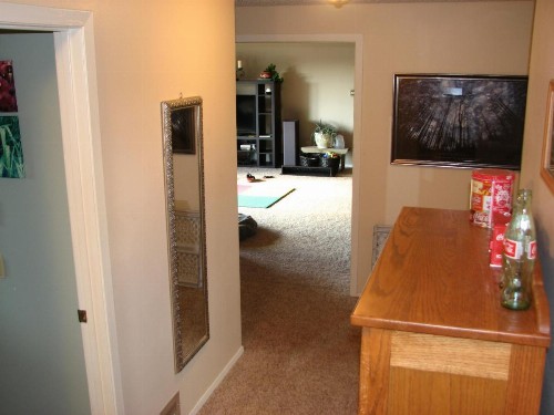 Priceless Black Hills View - image 28