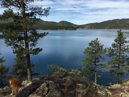 Priceless Black Hills View - image 29