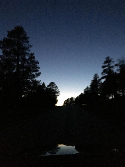 Priceless Black Hills View - image 32